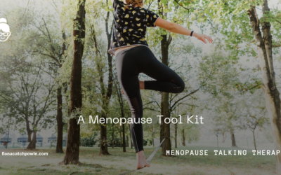 What is a Menopause Tool Kit?
